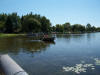 Paddle Boat 3